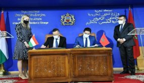 المغرب وهنغاريا يعملان على تقوية شراكتهما الاستراتيجية