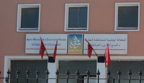 وثيقة تكشف مصادقة المحافظة العقارية لفترة تجريبة على وثائق الموثقين الموقعة إلكترونيا
