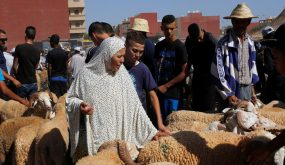إنتقال فيروس كورونا من البشر إلى الأضاحي.. هذه هي التفاصيل الكاملة!