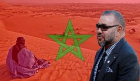 إنجازات دبلوماسية ملكية كبرى نزلت كالصاعقة على أعداء الوحدة الترابية للمملكة!