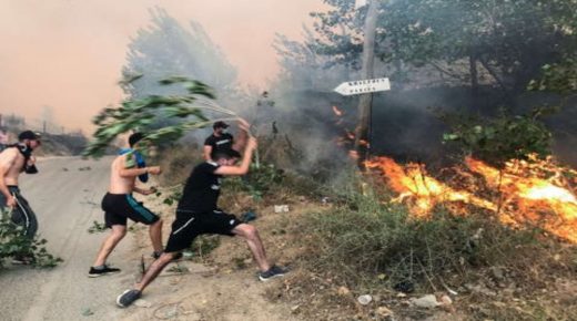 ارتفاع حصلية ضحايا حرائق الغابات في الجزائر إلى 65 منهم 28 عسكريا