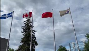 مجلس لافال يرفع العلم المغربي