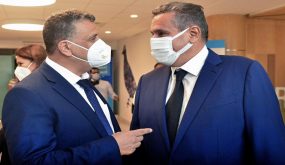 أزمة “بروفايلات” داخل البام!.. وهبي يبحث عن مدراء مؤسسات عمومية وتكنوقراط لإستوزارهم في “حكومة أخنوش”