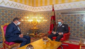 أخنوش في أول تصريح إعلامي بعد التعيين الملكي: سنشرع في مشاورات مع الأحزاب لتكوين أغلبية حكومية منسجمة ومتماسكة