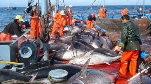 وزير إسباني: أغلب الأوربيين يدعمون اتفاقيات الصيد البحري مع المغرب وإسبانيا ستتحرك دفاعا عن صياديها