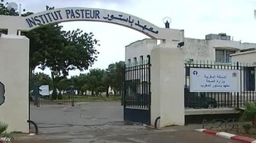 مركز إفريقي يختار معهد باستور المغرب كمركز تميز للتلقيح ضد (كوفيد-19)