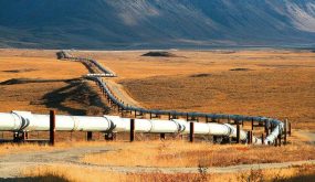 خط أنابيب الغاز المغاربي-الأوروبي.. الجزائر تبتز الاتحاد الأوروبي (برلمانيون أوروبيون)