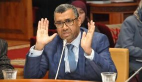 في هجوم غير مسبوق.. بوانو وصف الوزير بيتاس بـ“غلام الحكومة”.. وقال للوزير وهبي ساخرا منه “مبروك العَوْد..”