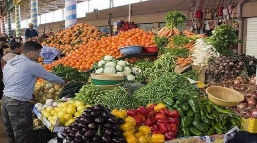 المغرب يعزز مكانته كرائد لإسبانيا في توريد الخضراوات والفواكه