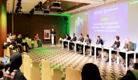 كديرة: إزالة الكربون من الصناعة المغربية ستعود بالنفع على الفاعلين الاقتصاديين