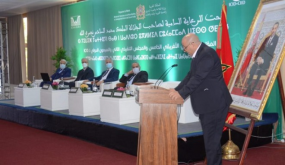 انتخاب المغرب نائبا لرئيس اللجنة الدولية للري والصرف، مكلفا بإفريقيا