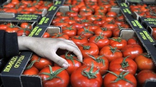 المغرب يزيح إسبانيا في سوق الطماطم البريطانية