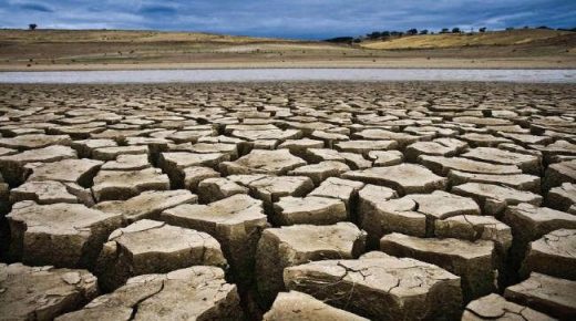 شبح الجفاف يخيم على المغرب ووزير الفلاحة: لدينا قلق بالغ ونتوقع أسوأ إنتاج زراعي منذ عقود