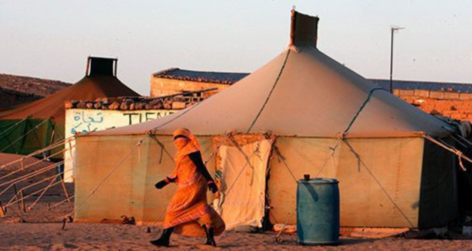 منظمة مكسيكية: التجنيد العسكري للأطفال بمخيمات تندوف أشبه “بعمل إرهابي”