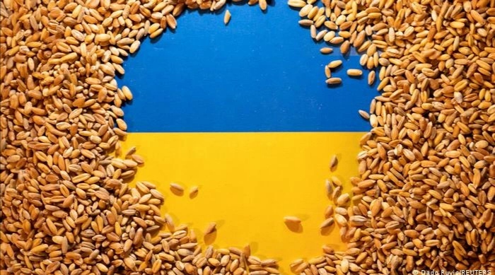 امداد الأسواق الزراعية العالمية يتواصل.. ثلاث سفن شحن جديدة محملة بالحبوب تغادر أوكرانيا