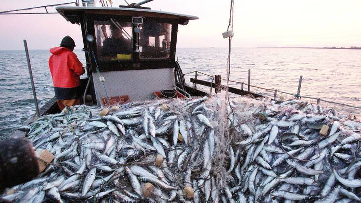 الاتحاد الأوروبي والمغرب في مفاوضات سرية بشأن اتفاق الصيد البحري
