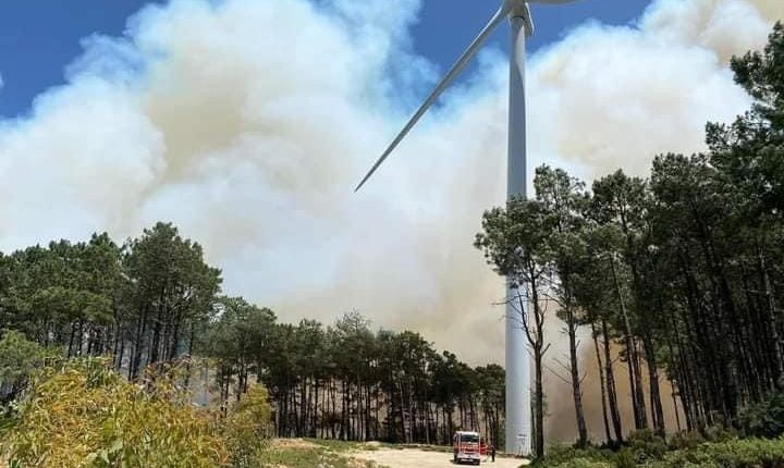 إندلاع حريق بغابة القصر الصغير قرب ميناء طنجة المتوسط والسلطات تسارع الزمن لوقف توسعه