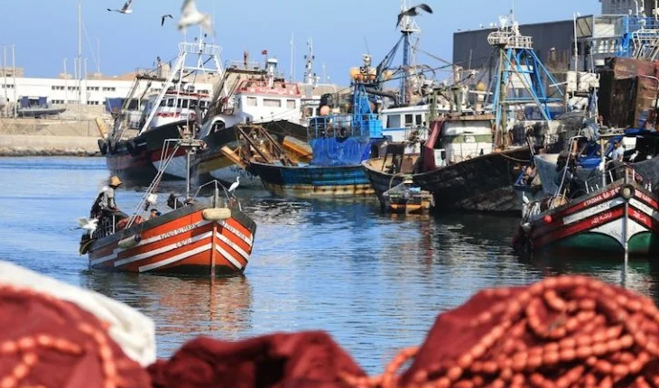 وزير الصيد الإسباني يرد على أوهام البوليساريو : اتفاق الصيد مع المغرب وليس مع أي جهة أخرى