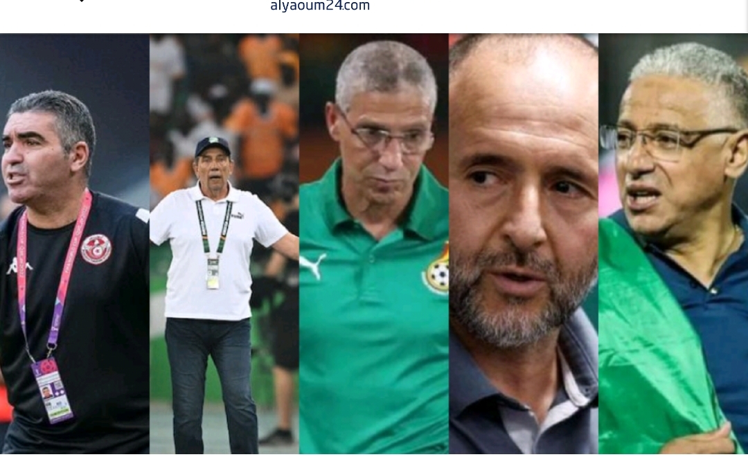 كأس أمم إفريقيا.. إقالات واستقالات في صفوف مدربي المنتخبات بعد الخروج من دور المجموعات