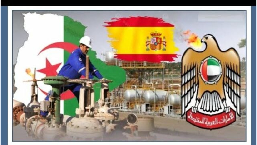 هل يجرؤ الكابرانات على وقف الغاز بعد شراء الإمارات شركة ناتورجي؟