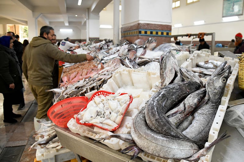 ارتفاع أسعار الأسماك يُشعل غضب المغاربة.. والدريوش تُبرر بالراحة البيولوجية!