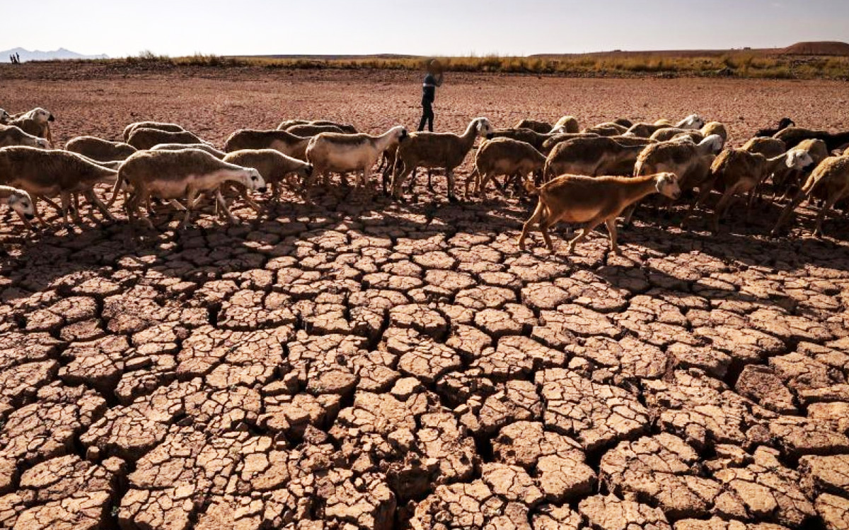 الطاقات المتجددة في المغرب.. استثمار أوروبي أم استنزاف محلي؟