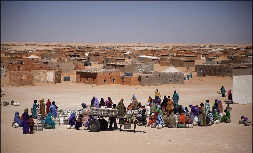 جرائم في الخفاء.. منظمات صحراوية تفجّر ملف الإعدامات في تندوف وتحمّل الجزائر المسؤولية