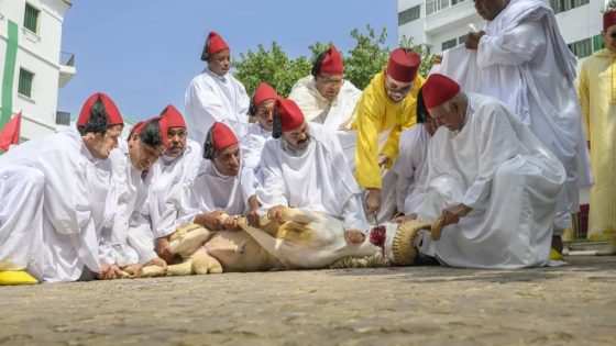 قرارات أمير المؤمنين لا تُفسَّر.. بل تُنفَّذ