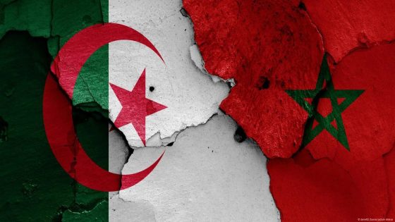 الحقيقة الكاملة وراء وثيقة الدم المزيفة!.. حملة تضليل جزائرية تستهدف المملكة في قلب حروب المعلومات