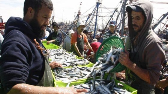 صيحة إنذار من موظفي الصيد البحري.. انهيار السردين يهدد الأمن الغذائي ومعامل التصبير تلفظ أنفاسها