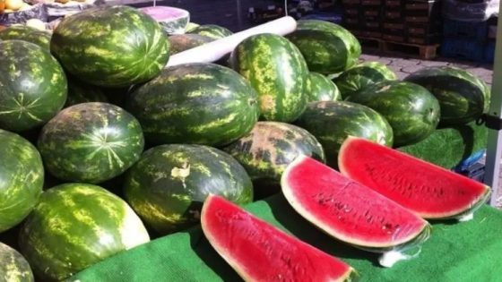 أونسا تكشف تفاصيل الرقابة على البطيخ الأحمر وتنفي شائعات التسمم