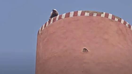 النيابة العامة: المعتصم فوق خزان للمياه شنق نفسه وليس هناك أي شكاية حول وفاة والده