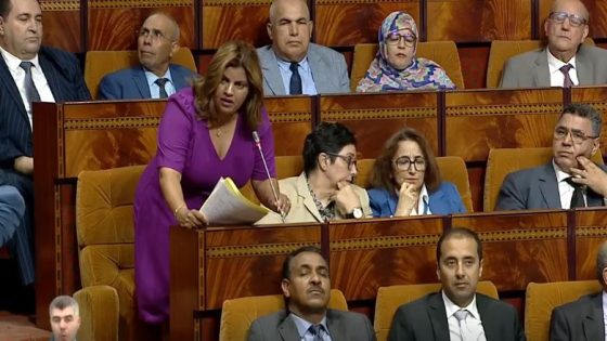 الاتحاد الاشتراكي في حرب بالوكالة نيابة عن أخنوش.. هجوم على وزراء الأغلبية لحسابات ما قبل انتخابات 2026