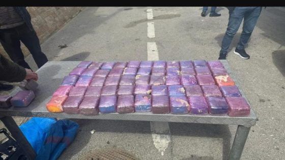 إيطالي يسقط بتهريب الحشيش في باب سبتة