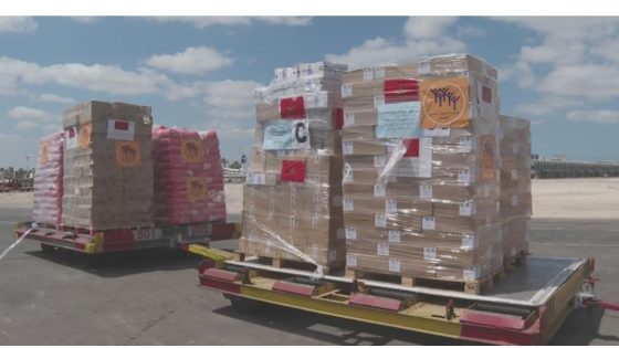 وزيرة فلسطينية: المساعدات المغربية ستساعد على تلبية احتياجات ساكنة غزة من الأغذية والأدوية