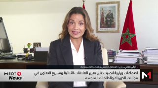 بنعلي: اجتماعات نواكشوط تعزز العلاقات الثنائية وتعجل التعاون في مجالات الكهرباء والطاقات المتجددة