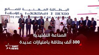 توزيع 300 ألف بطاقة وإبرام اتفاقيات توفر امتيازات للصناع التقليديين