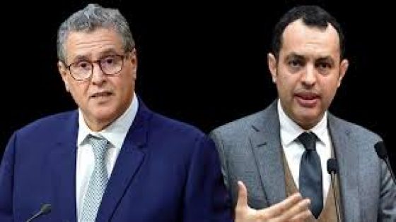 تعيين شويخ على رأس “أنابيك” يثير التساؤلات حول معايير الاختيار