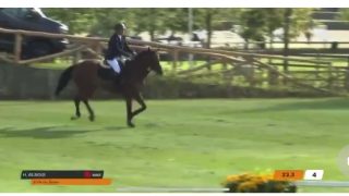 المشاركة الثانية للأمير مولاي هشام في مسابقات الفروسية بأوروبا، وهاته المرة ببروكسيل..