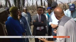 كي لا تحترق واحات طاطا…التفاصيل في الربورتاج