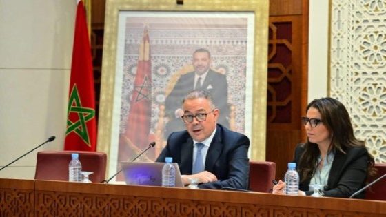 لقجع يواجه اتهامات بتشريع على المقاس ويؤكد: هدفنا خفض أسعار الدواء وحماية الصناعة الوطنية