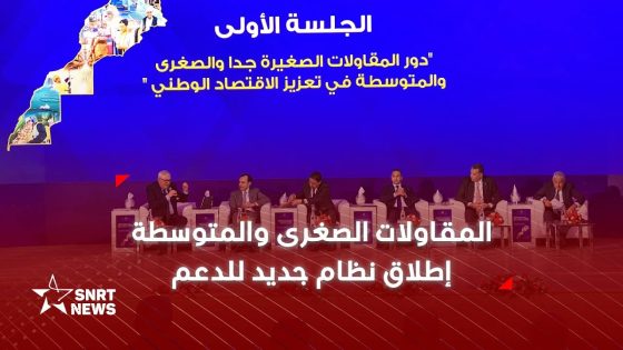 الحكومة تطلق نظاما جديدا لدعم المقاولات الصغرى والمتوسطة