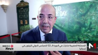 انتخاب المملكة المغربية لرئاسة المجلس الدولي للزيتون برسم سنة 2026