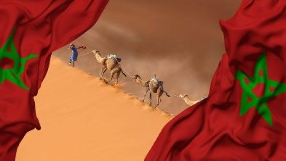 نصف قرن بعد المسيرة الخضراء… المغرب يحسم معركة الصحراء بالدبلوماسية والبناء الميداني
