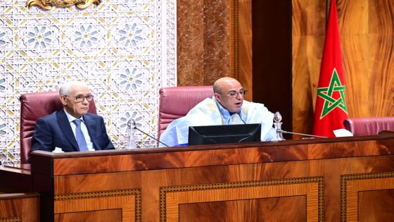 ولد الرشيد: القرار الأممي لحظة مغربية فاصلة تؤسس لوحدة مغاربية جديدة تقودها رؤية الملك محمد السادس