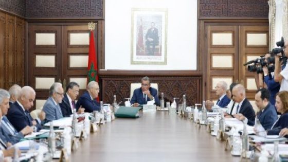 20 مليار لتنفيذ رؤية ملكية جديدة للتنمية الترابية المندمجة وتعزيز العدالة المجالية والاجتماعية