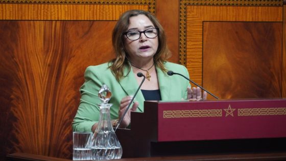 التامني تطالب بإعفاء الأدوية وفرض ضريبة على الثروة و45% على الشركات المحتكرة لتمويل الخدمات العمومية