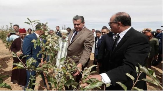 العدالة والتنمية يهاجم “الجيل الأخضر” ويصفه بمخطط بلا روح اجتماعية يخدم الكبار ويهمّش الفلاحين الصغار