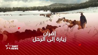 إقليم إفران .. رحل يواجهون شتاء غير مسبوق