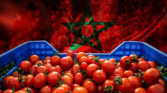 “حرب الطماطم” تتصاعد… صراع تجاري يخفي مواجهة سياسية حول الصحراء المغربية